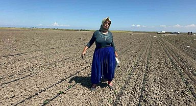 Belindeki 8 platinle tarlada ekmeğini kazanıyor