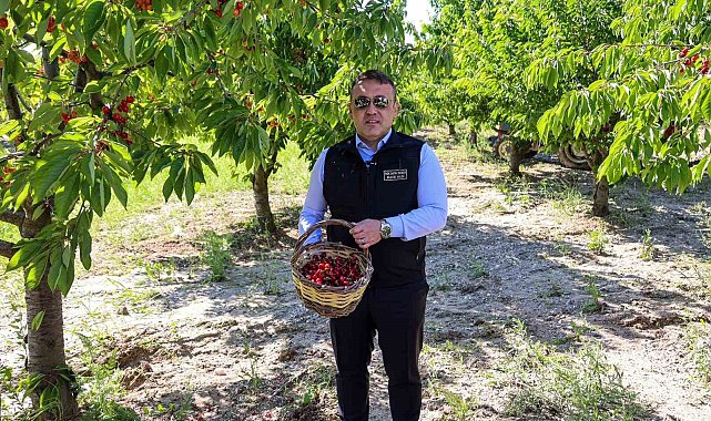 Bilecik'te 27 bin dekarda yıllık yaklaşık 15 bin 500 ton kiraz üretimi