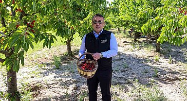 Bilecik'te 27 bin dekarda yıllık yaklaşık 15 bin 500 ton kiraz üretimi