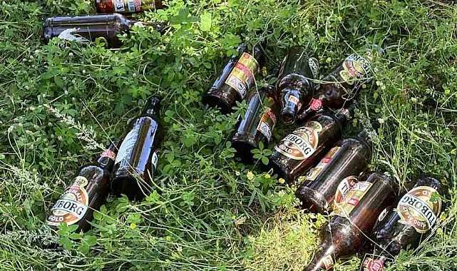 Bilecik'te piknikçiler alanı çöplüğe çevirdi: Doğa ve kamu malı zarar gördü