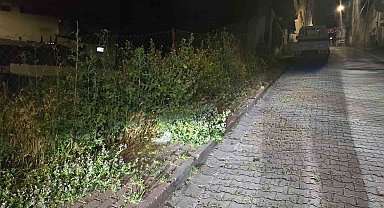 Bilecik'te vatandaşlar otlardan kaldırımda yürüyemiyor