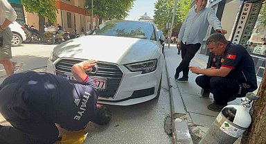 Bir arabadan çıkıp başka arabaların altına giren kedi itfaiyecilere zor anlar yaşattı
