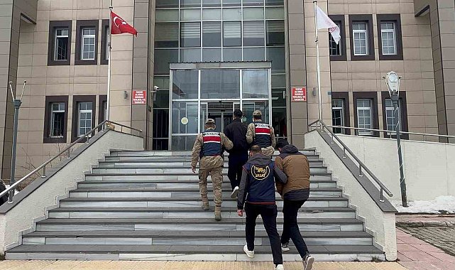 Bitlis'te göçmen kaçakçılığı operasyonu