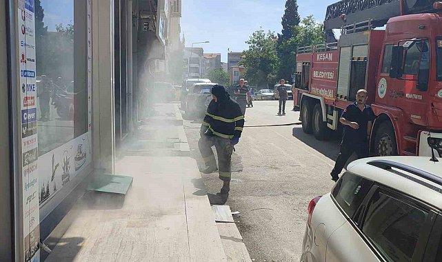 Bodrum katta çıkan yangında 4 kedi son anda kurtarıldı
