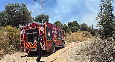 Bodrum'da çıkan yangın büyümeden söndürüldü