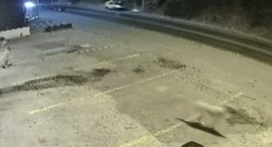 Bodrum'daki ölümlü kazanın güvenlik kamerası ortaya çıktı