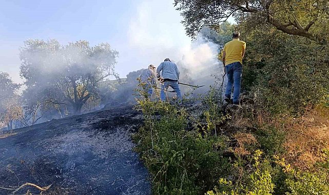 Bozdoğan'da arazi yangını