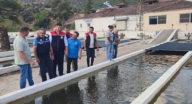 Bozdoğan'da su ürünleri üretimi 3 bin 696 tona ulaştı