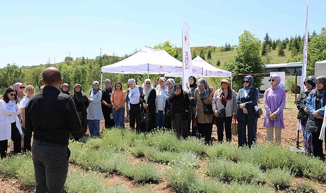 Bozkırların altın çiçeğinde hasat sevinci