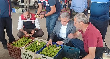 Buharkent'te ilekler, tezgahta incelendi