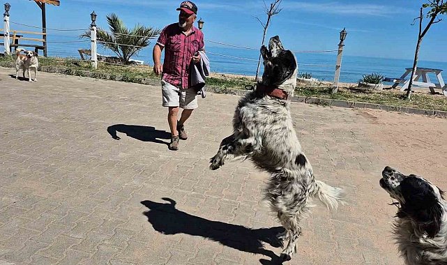 Bunlar da dronsavar köpekler