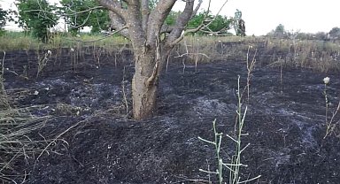 Burdur'da 15 dönümlük alan yangında zarar gördü