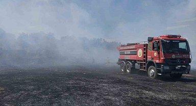 Burhaniye'de örtü yangını zeytinliklere sıçramadan kontrol altına alındı