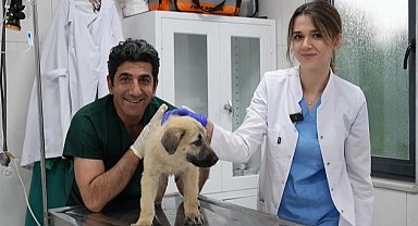 Bursa Gürsu ödüllü hayvan bakım merkezi can dostlara umut