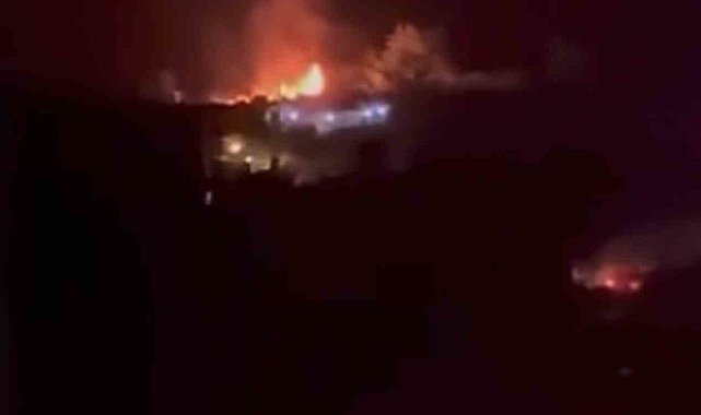 Bursa'da bağ evi alevlere teslim oldu