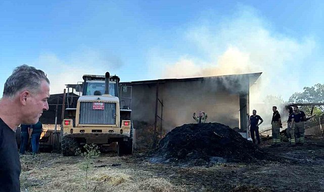 Bursa'da çiftlik yangını: 4 büyükbaş hayvan telef oldu