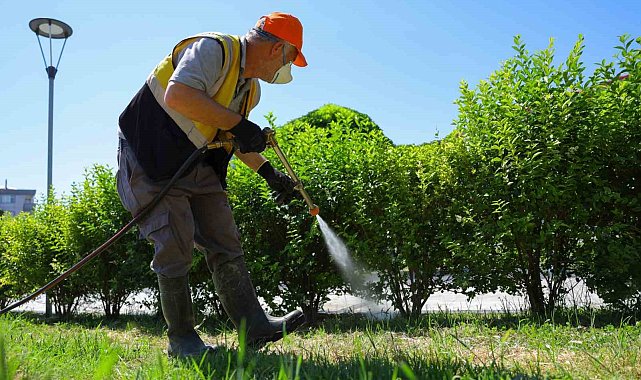 Büyükşehirden şehir genelinde vektörlerle mücadele