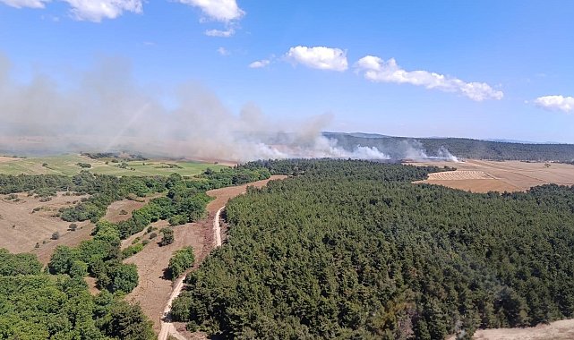 Çanakkale'de tarım arazisinde başlayan yangın ormana sıçradı