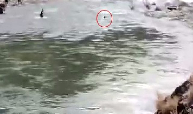 Çayda kaybolmuştu, akıntıya kapıldığı anlar kameraya yansıdı