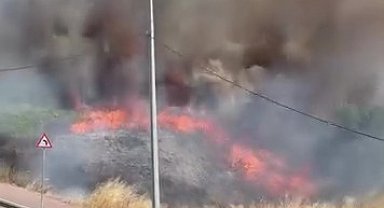 Darıca'da arazide korkutan yangın
