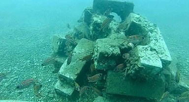 Denize düşen beton ağırlıklardan yapay resif oluşturdular