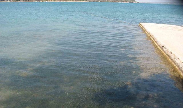 Didim'in deniz suyu kalitesi dikkat çekti
