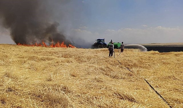 Diyarbakır'da yüzlerce dönüm arazi alevlere teslim oldu