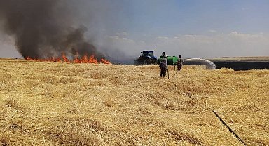 Diyarbakır'da yüzlerce dönüm arazi alevlere teslim oldu