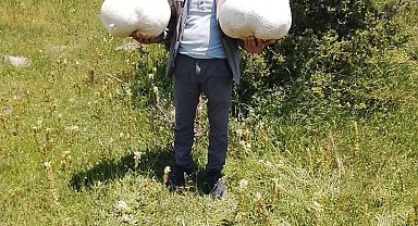 Doğada 20 kiloluk mantar buldu
