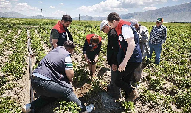 Dolu yağışı tarım alanlarına zarar verdi
