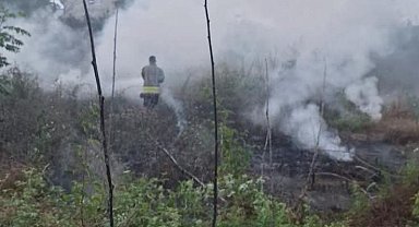 Dörtyol'da bahçe yangını