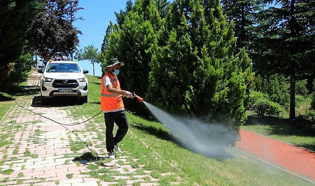 Elazığ'da ilaçlama çalışmaları aralıksız sürüyor