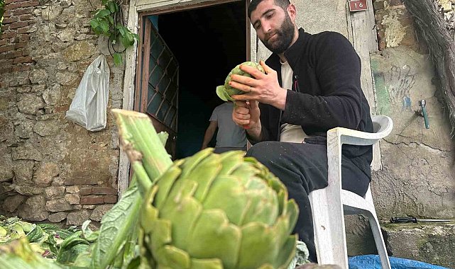 Enginar soyarak ayda 240 bin lira kazanıyor