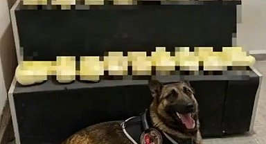 Erzincan'da 20,1 kilogram metamfetamin ele geçirildi
