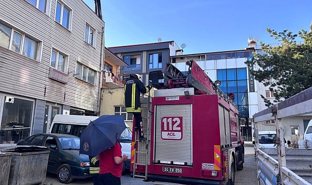 Erzincan'da karga ailesi yavrusu için kedilere ve insanlara meydan okudu
