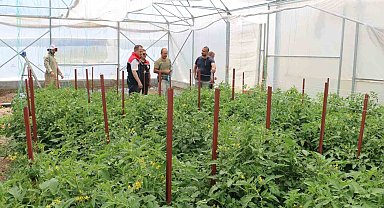 Erzincan'da seracılık yatırımları üretimi artırıyor