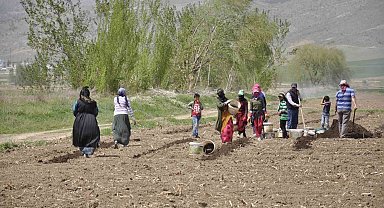 Erzincan'da tarımın görünmeyen kahramanları: Mevsimlik işçiler