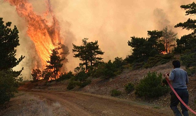 Eskişehir ve Afyonkarahisar'da ormanlara giriş yasaklandı