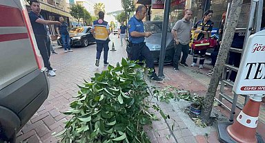 Fren yerine gaza bastı: İki ağacı devirip, duvara çarptıktan sonra durabildi