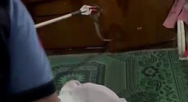 Gaziantep'te evde yılan paniği