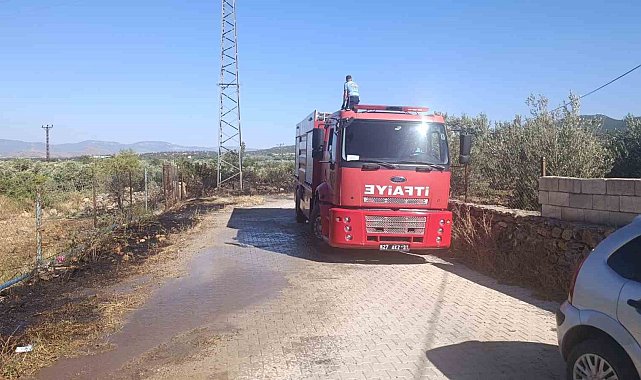 Gaziantep'te zeytinlik alanda yangın