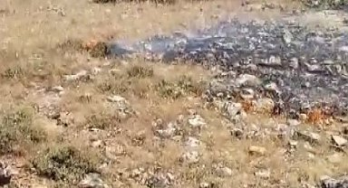 Gercüş'te korkutan yangın: Köyün geçim kaynağı ekili alanlar son anda kurtarıldı