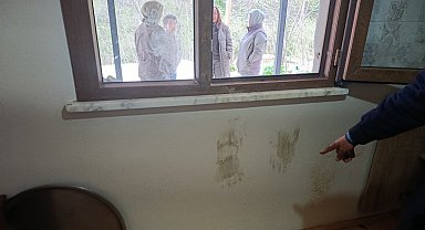 Giresun'da ayı alarmı