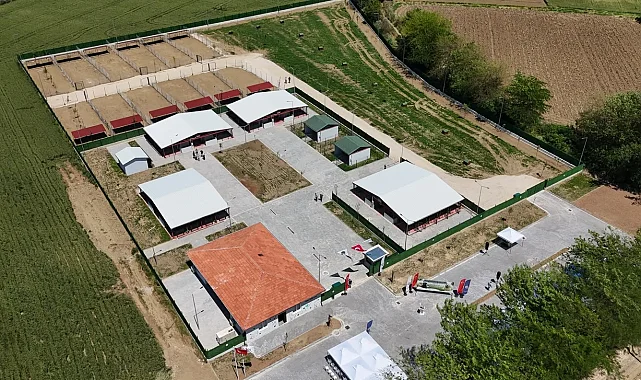 Güney Marmara'nın en modern hayvan bakımevi Bursa Yenişehir'de açıldı