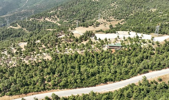 Gürsu Mesire alanı yeniden açılıyor