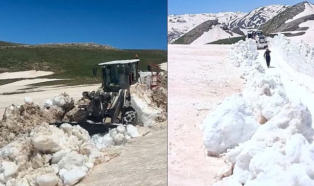 Hakkari'de yaz günü 3 metreyi bulan karda yol açma çalışması
