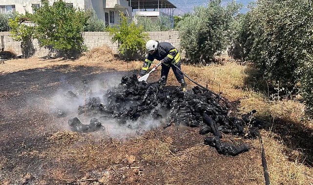 Hassa'da bahçe yangını