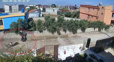 Hatay'da motosikletle tek teker yapan gençlerin duvara çarptığı anlar kamerada