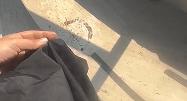 Havuza tesettürlü mayo yasağında 1 gözaltı