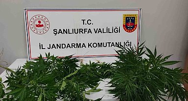 Hilvan'da uyuşturucu ele geçirildi